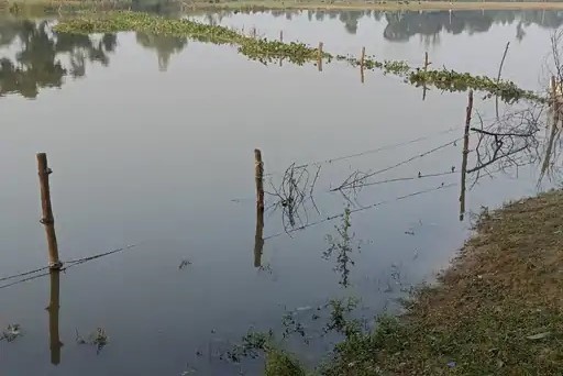 Coca-Cola India joins hands with Say Earth to rejuvenate the Jalalabad Lake